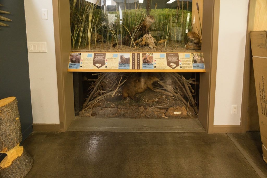 sunriver-nature-center-and-oregon-observatory-017