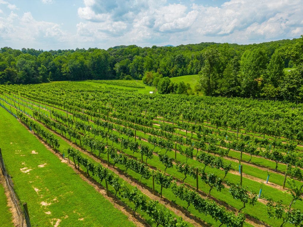 fables-and-feathers-winery-009