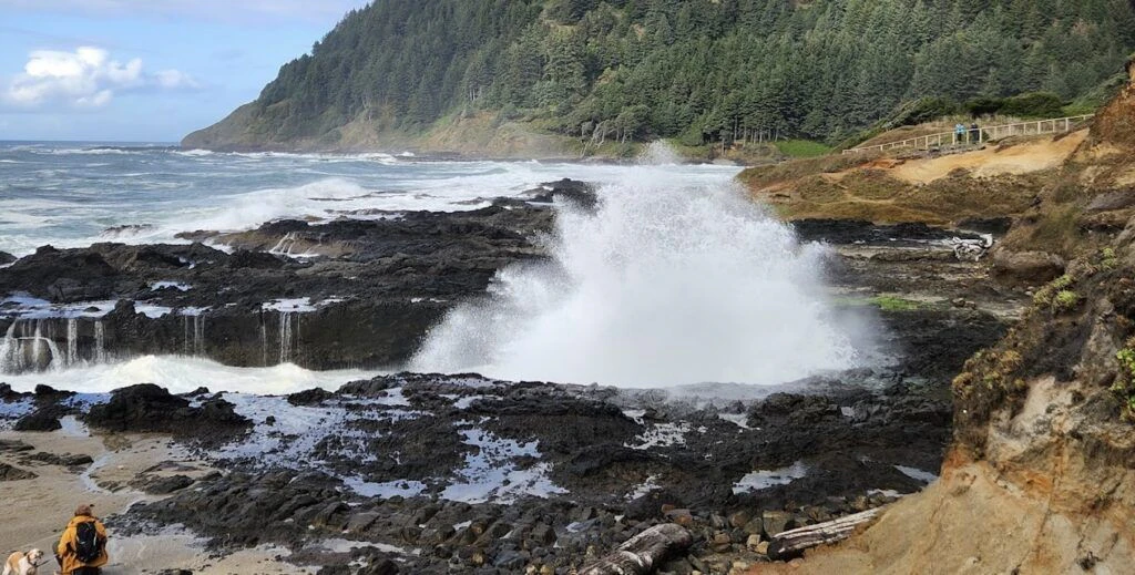 cape-perpetua-scenic-area-001