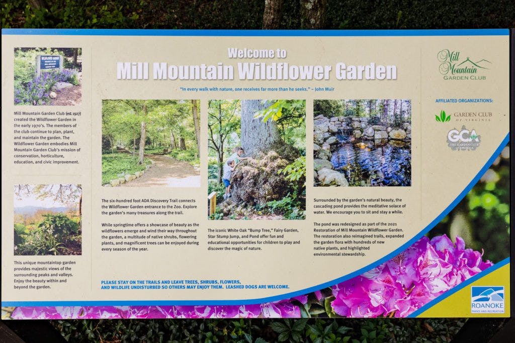 mill-mountain-wildflower-garden-011