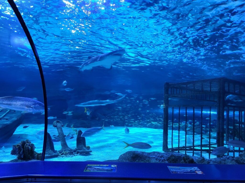 ripley-s-aquarium-of-myrtle-beach-004