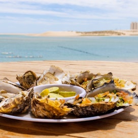 El Barco Ostionera y Restaurante (Oyster Farm)