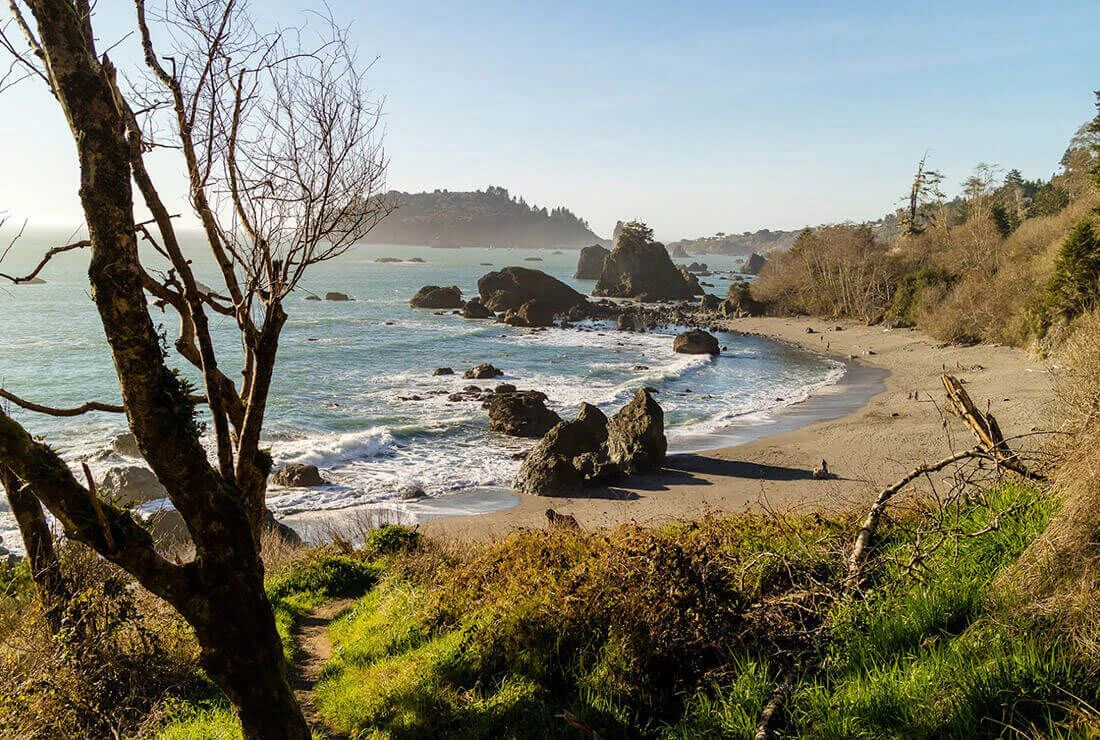 new-casago-branches-2022-and-how-to-franchise-hero