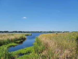 hugh-s-branyon-backcountry-trail-001