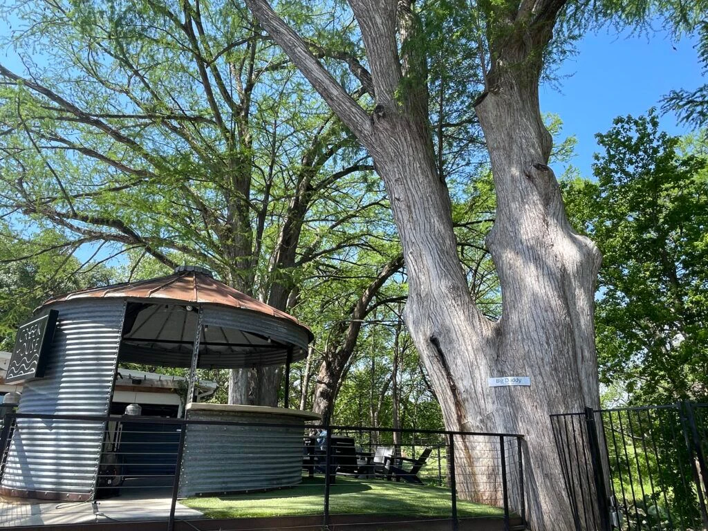 wimberley-square-003