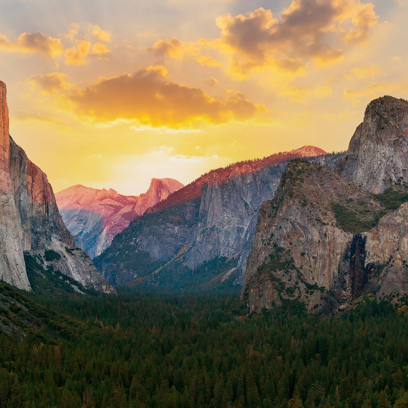 AdobeStock_418646085.jpeg
