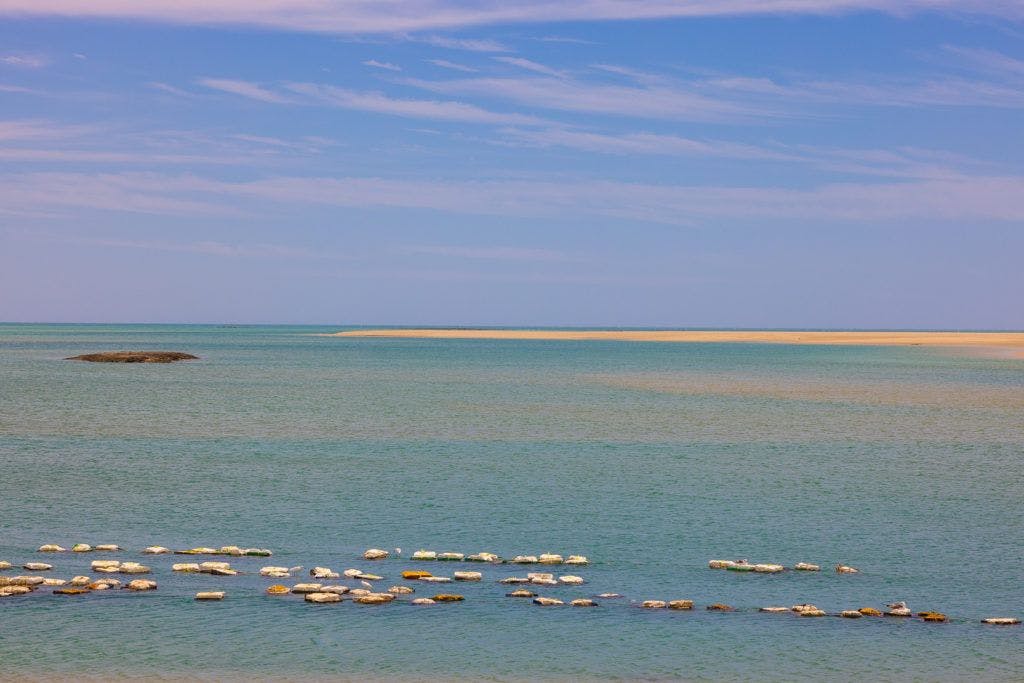el-barco-ostionera-y-restaurante-oyster-farm-005