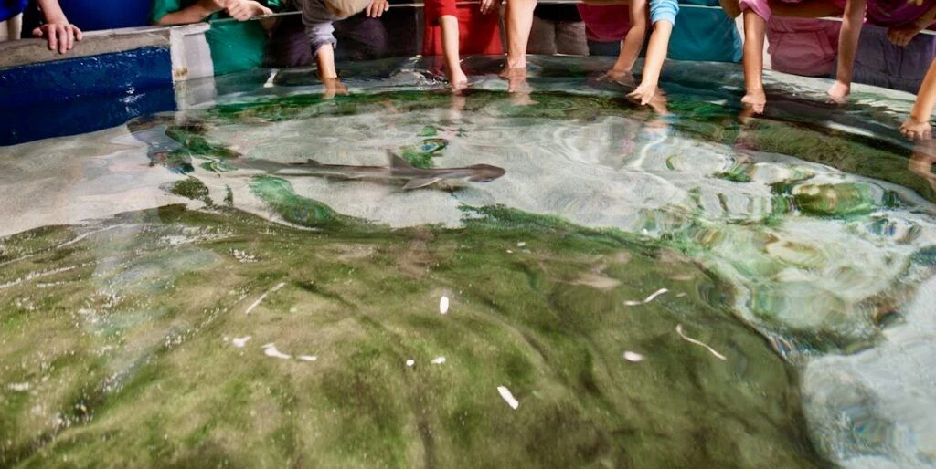 mcwane-science-center-003