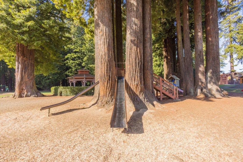 sequoia-park-garden-008