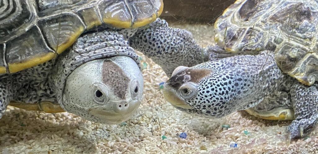 Marine Discovery Center