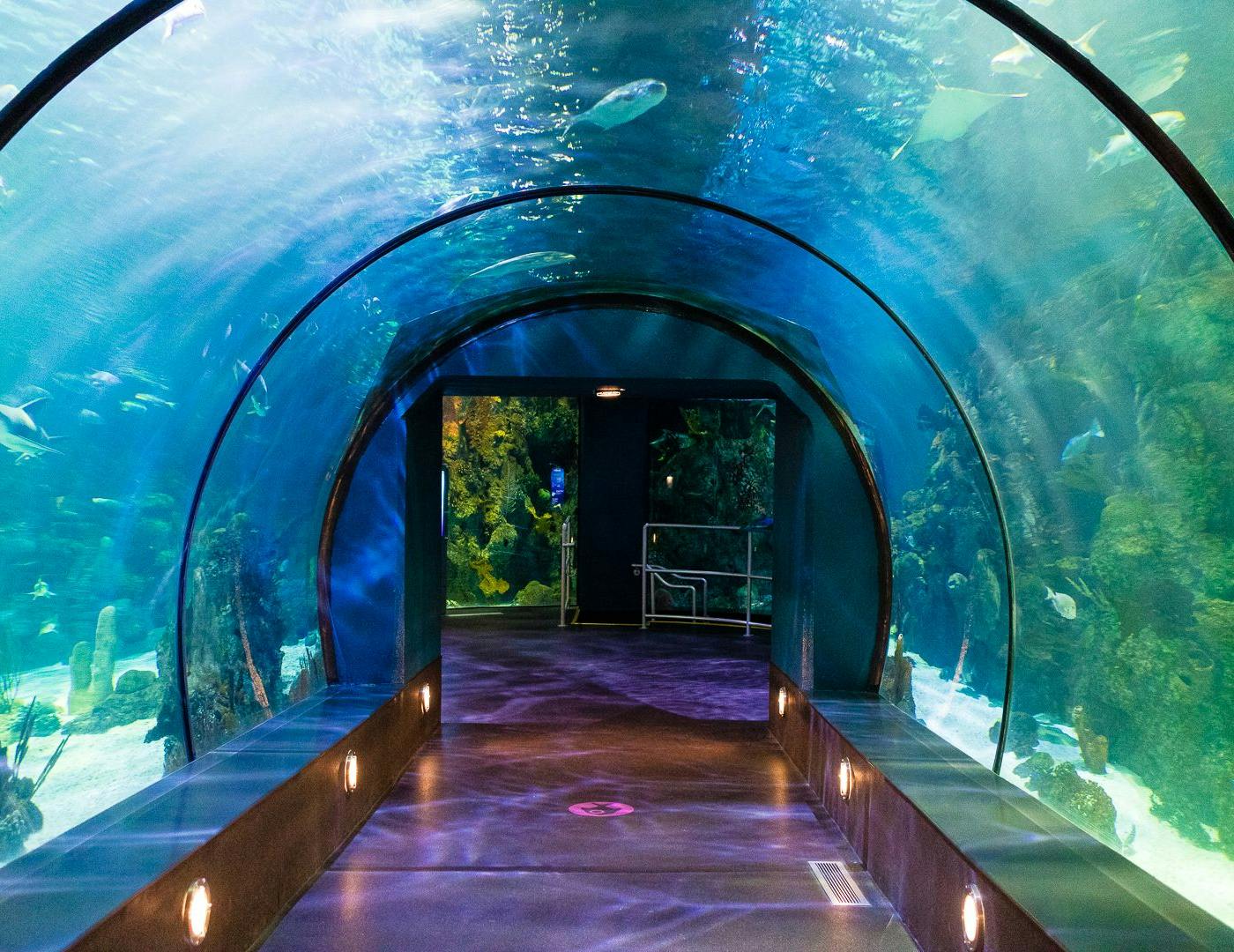 18 Best Things to do in Galveston, TX - Casago