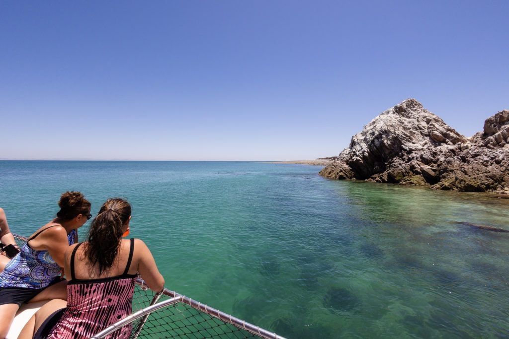 bird-island-isla-san-jorge-037