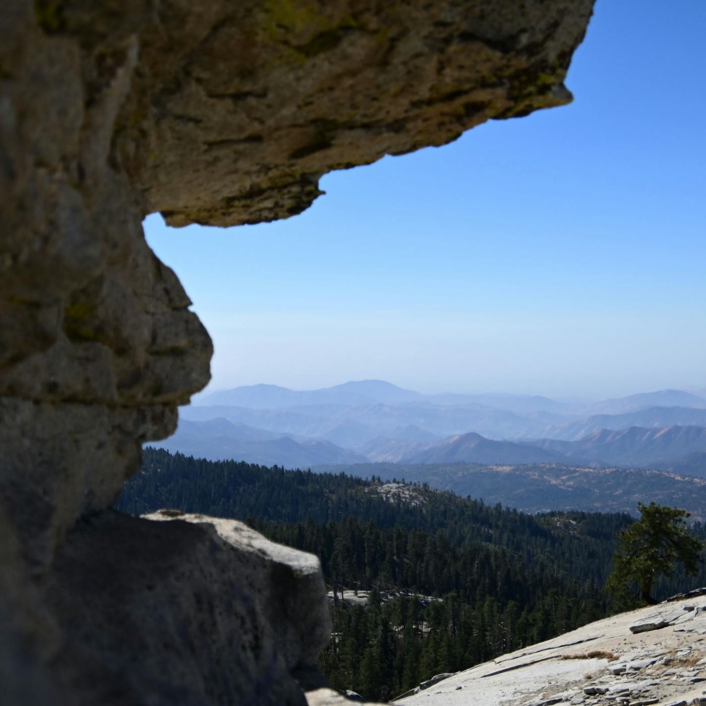 Shaver Lake
