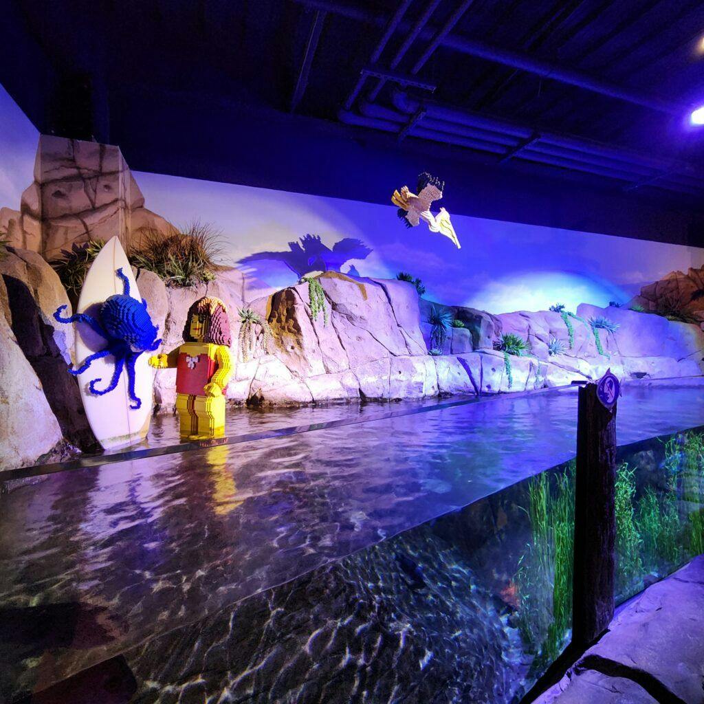 sea-life-aquarium-018