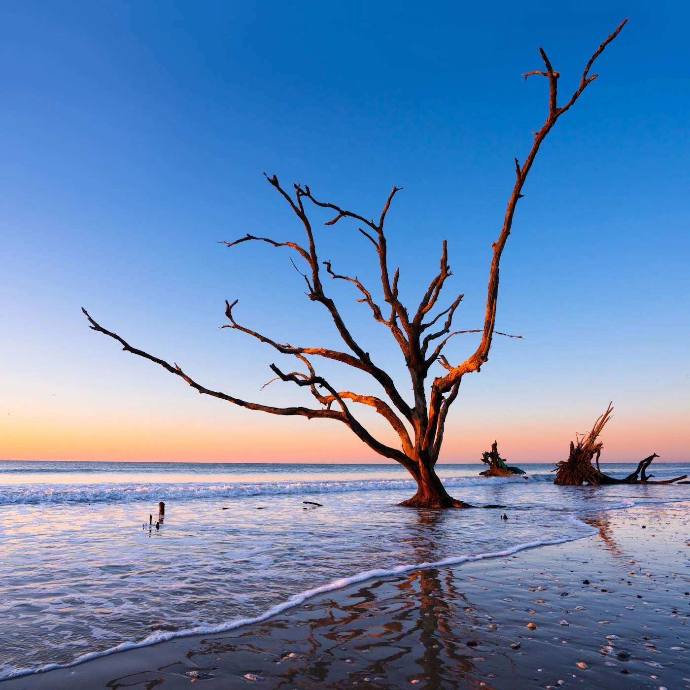 AdobeStock_505020396.jpeg