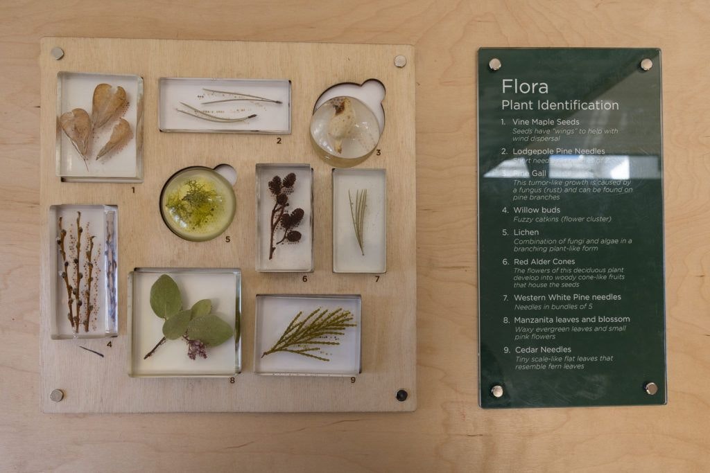 sunriver-nature-center-and-oregon-observatory-007