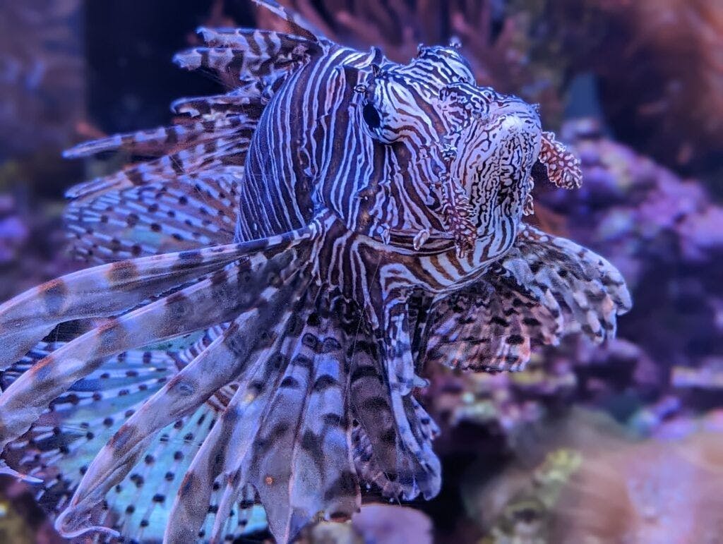 great-lakes-aquarium-002