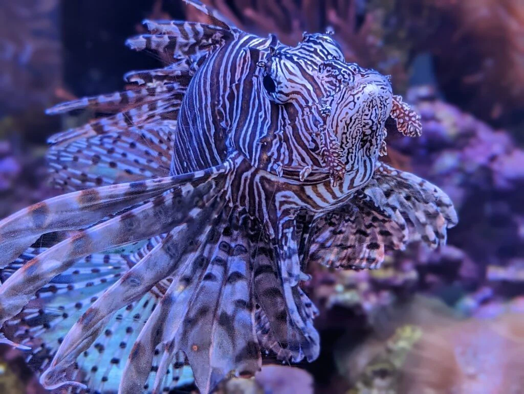 great-lakes-aquarium-002