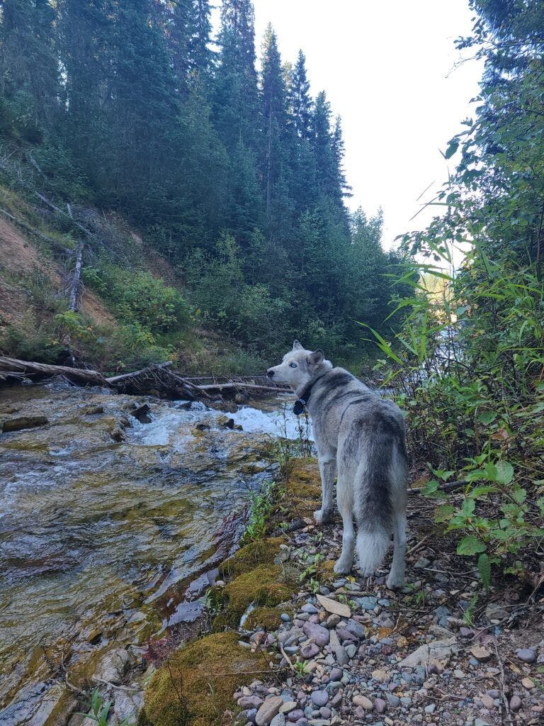 great-northern-mountain-004