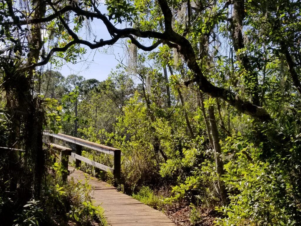 spruce-bluff-preserve-004