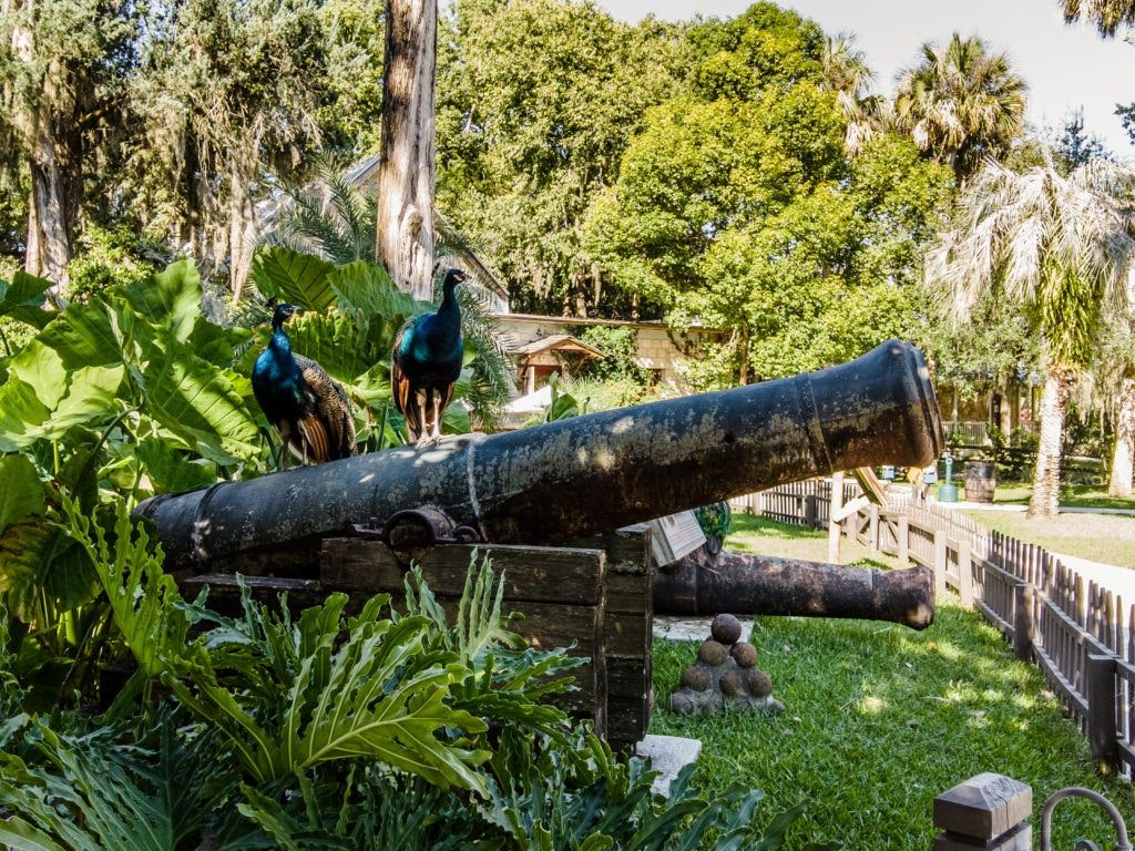 fountain-of-youth-archaeological-park-021