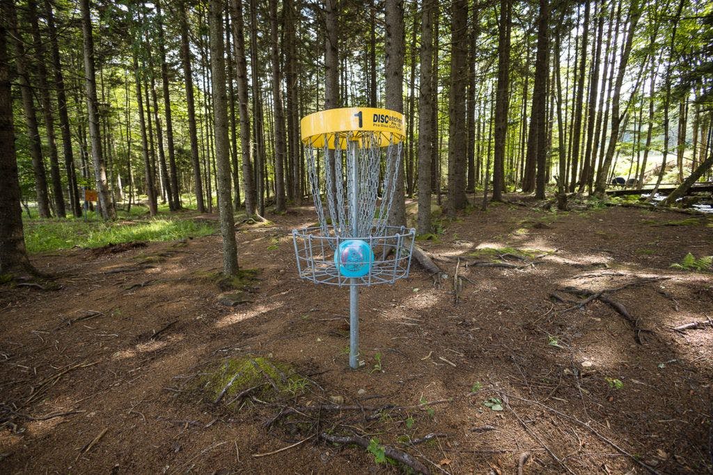 fairy-diddle-disc-golf-007