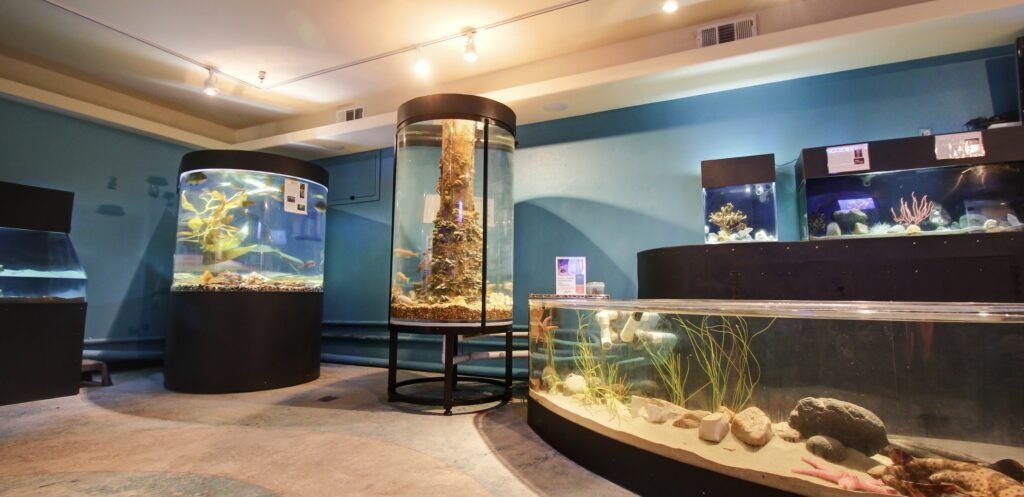 central-coast-aquarium-003