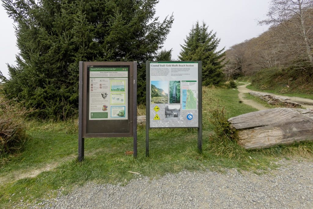 fern-canyon-inside-prairie-creek-redwoods-state-park-007