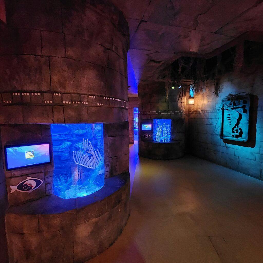 sea-life-aquarium-011