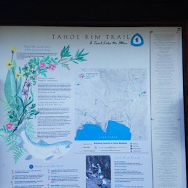 Brockway Summit Tahoe Rim Trail Trailhead