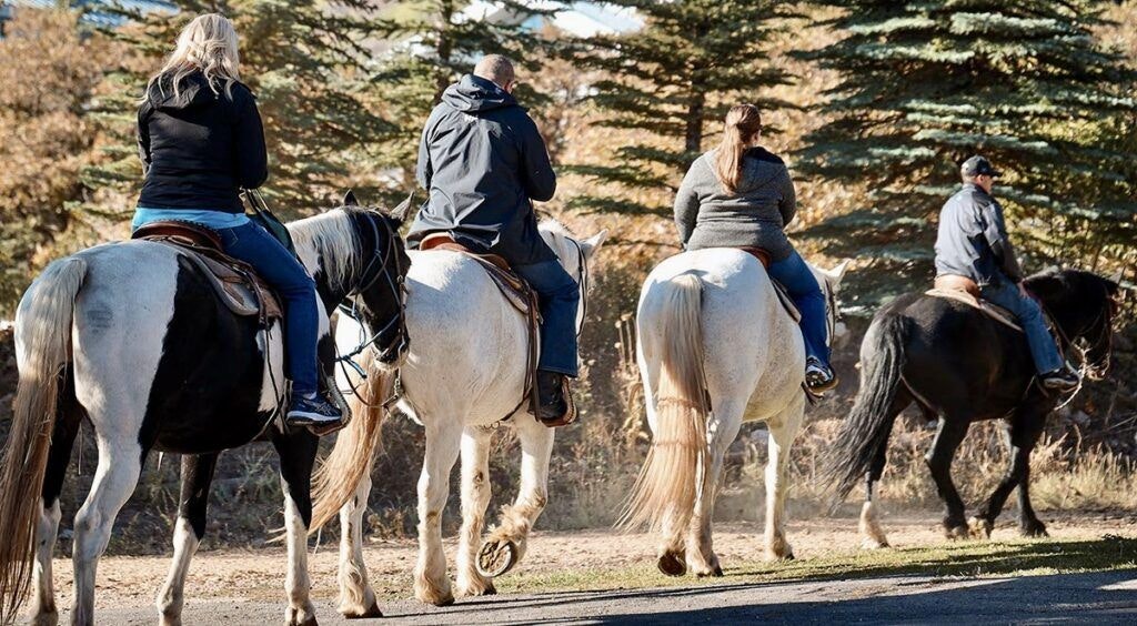 red-pine-adventures-004