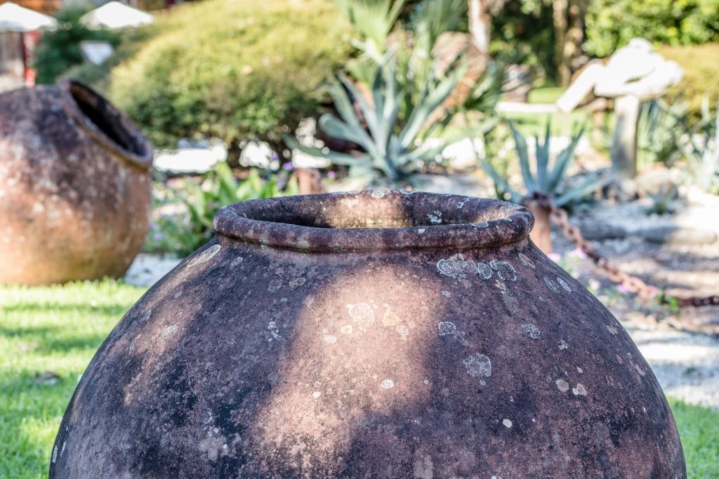 fountain-of-youth-archaeological-park-012