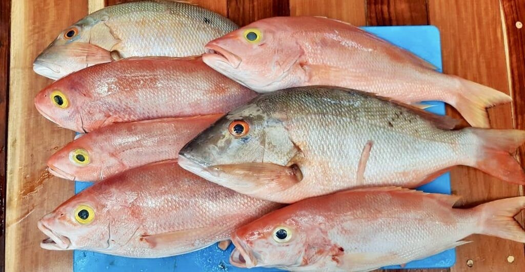 restaurante-estrada-003