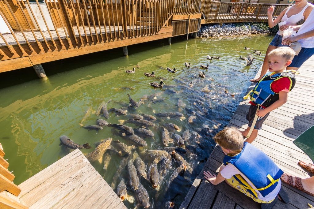 bridgewater-marina-and-pier-018