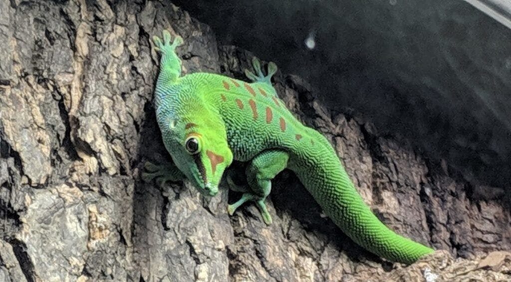 butterfly-wonderland-003