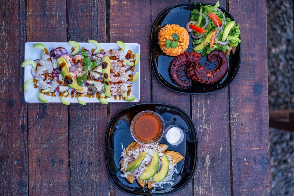 la-palapa-de-don-margaro-013