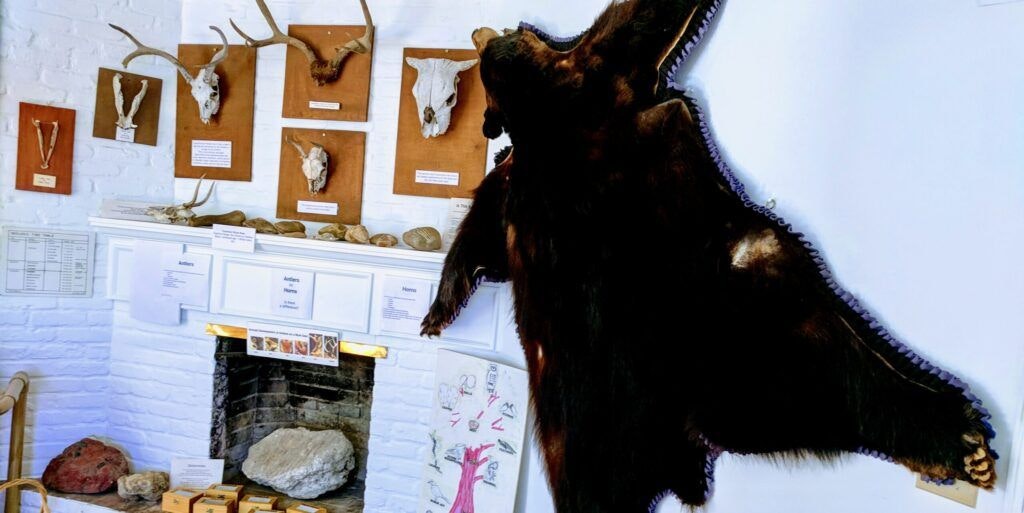 neal-taylor-nature-center-004