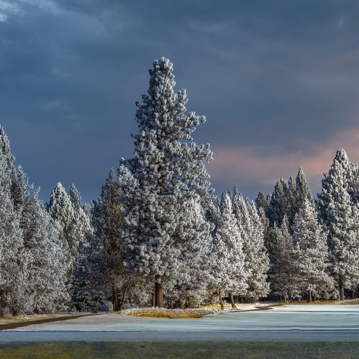 Sunriver-AdobeStock_470542589.jpeg