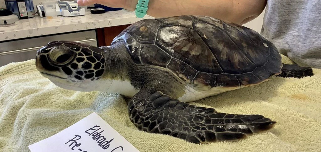 marine-science-center-002