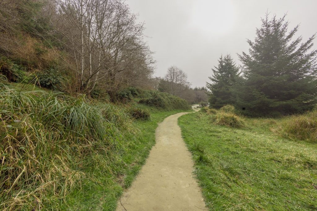 fern-canyon-inside-prairie-creek-redwoods-state-park-016