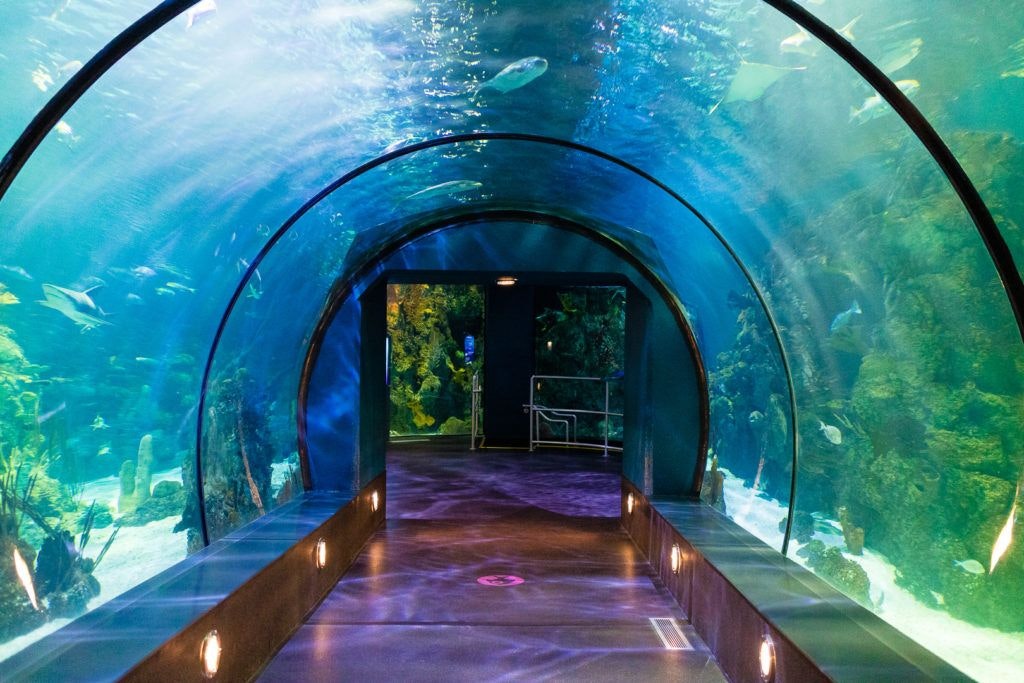 moody-gardens-pyramids-001