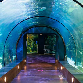 Moody Gardens Pyramids