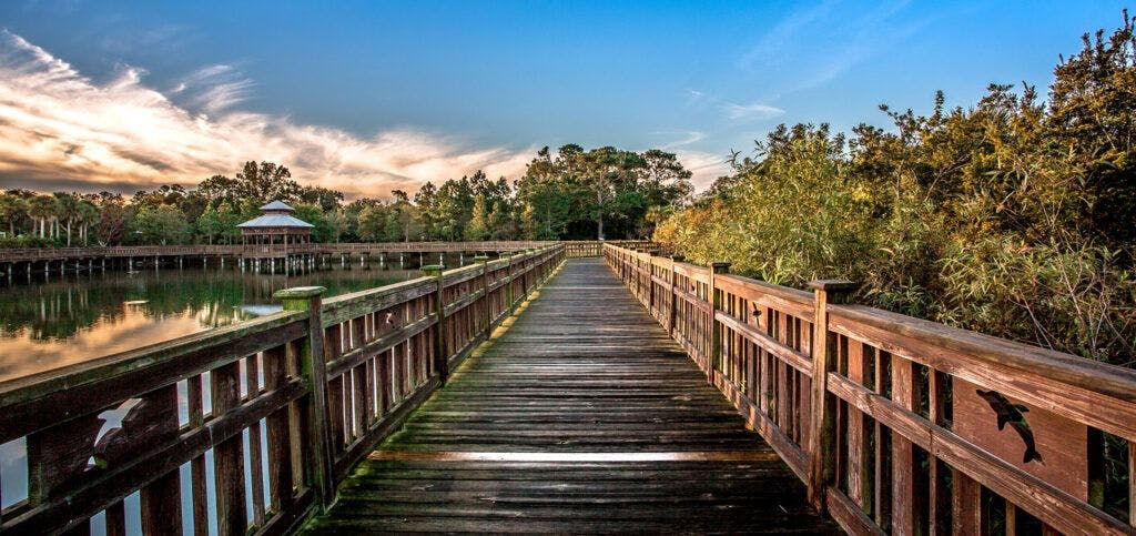 bird-island-park-001