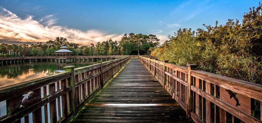 bird-island-park-001