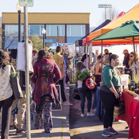 Arcata Plaza Farmer's Market
