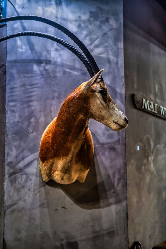 hunters-and-fishers-011