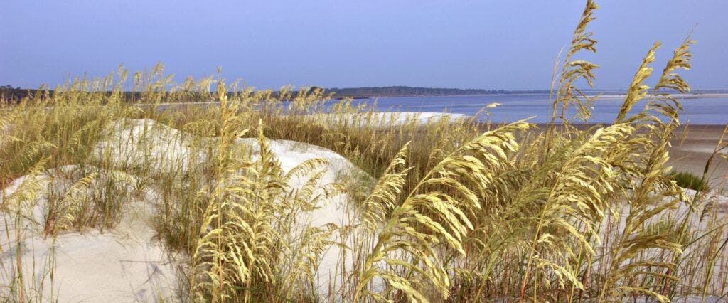 kathryn-abbey-hanna-park-003