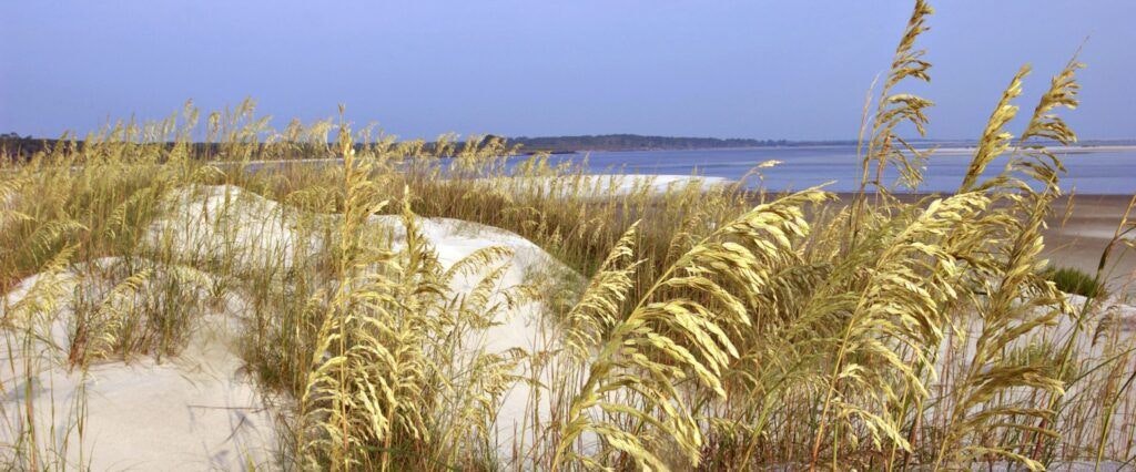 kathryn-abbey-hanna-park-003