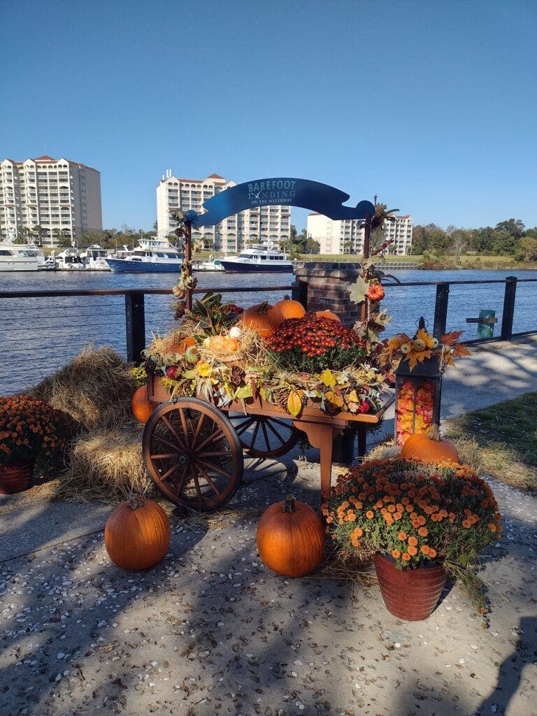 barefoot-landing-002