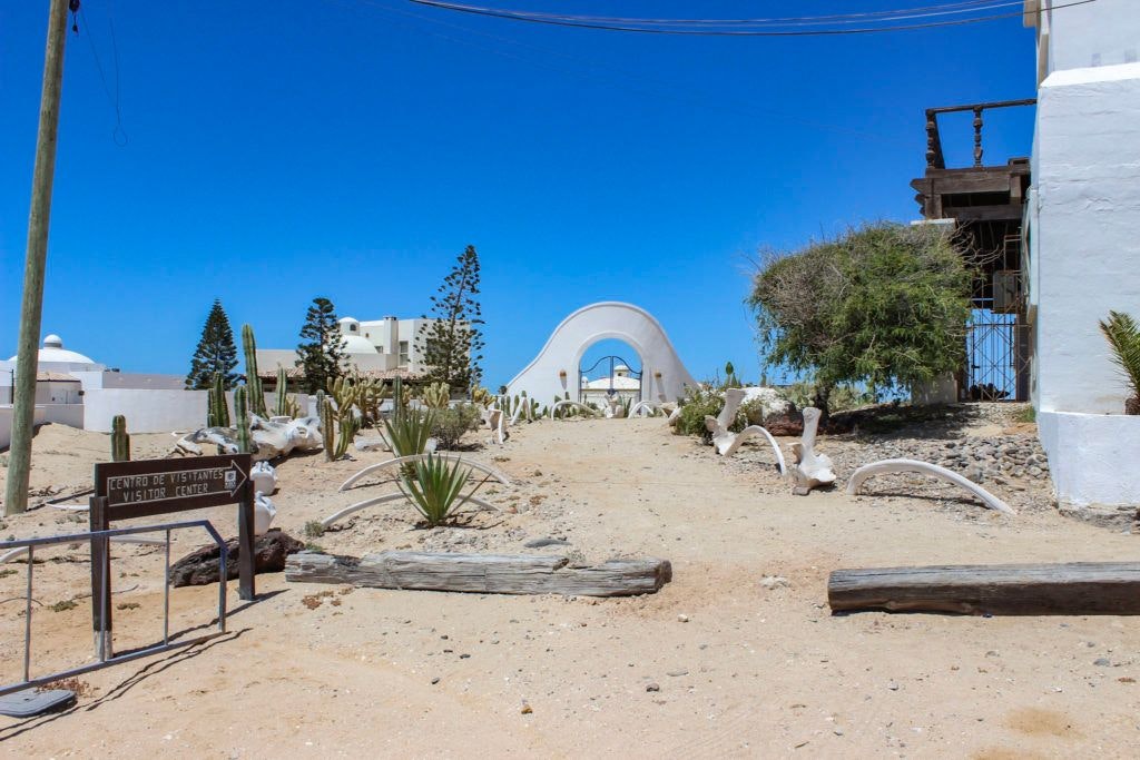 cedo-intercultural-center-for-the-study-of-deserts-and-oceans-003